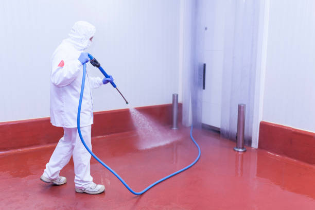 Best Dumpster Area Cleaning  in Burke, VA
